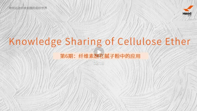 帶你走進(jìn)纖維素醚的奇妙世界 | 第6期:纖維素醚在膩?zhàn)臃壑械膽?yīng)用